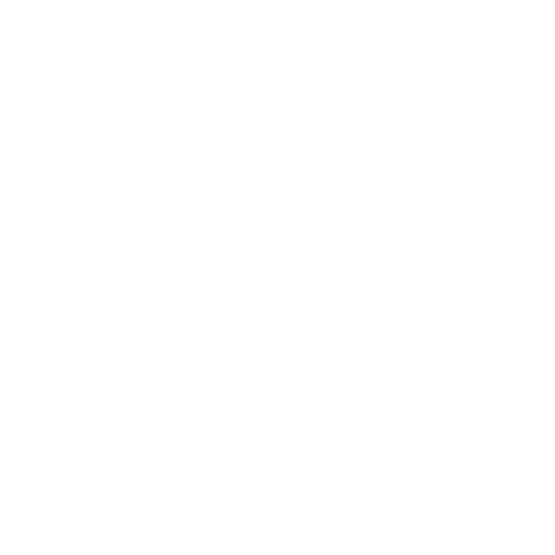 Mute Icon